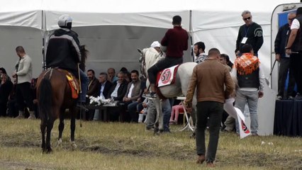 Rahvan at yarışları - ARDAHAN