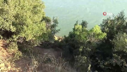 Kıyıya vuran cesedi çoban köpekleri buldu