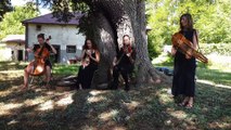 Le Tokso folk string quartet anime le road trip de Mirecourt