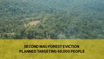 Second Mau Forest eviction targets 60,000 people