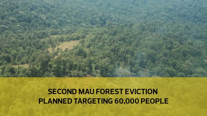 Second Mau Forest eviction targets 60,000 people