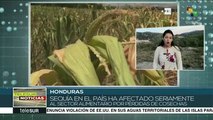 teleSUR Noticias: Pdte Maduro critica nexo de Guaidó con paramilitares