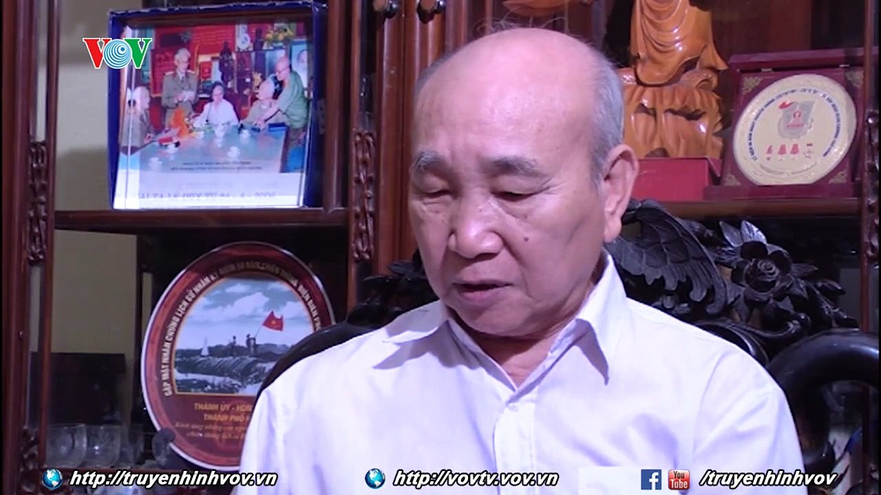 cay doi mai xanh