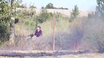 Sazlık yangını - ANTALYA