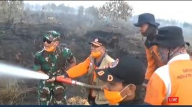 Selama Sepekan, 20 Hektare Lahan Gambut di Kebun Raya Sriwijaya Terbakar