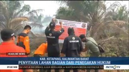 KLHK Sita Lahan Terbakar Milik 3 Perusahaan di Ketapang