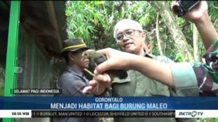 Jelajah Taman Nasional Bogani Nani Wartabone di Gorontalo