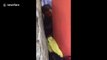 Un jeune chinois se retrouve coincé entre un poteau et un mur... Décoincé par les pompiers avec de l'huile