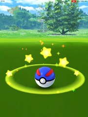 SHINY TURTWIG IV 100 CP 848 LIV 25  EVOLVE GROTLE 1350 AND LIVE