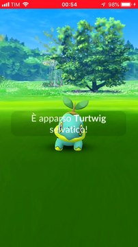 TURTWIG IV 100 MAX CP 1102 LIV 35 EVOLUTION GROTLE 1755 AND LIVE