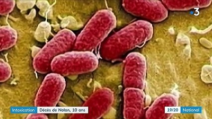 Nolan meurt à l'âge de 10 ans après avoir été intoxiqué par un steak haché