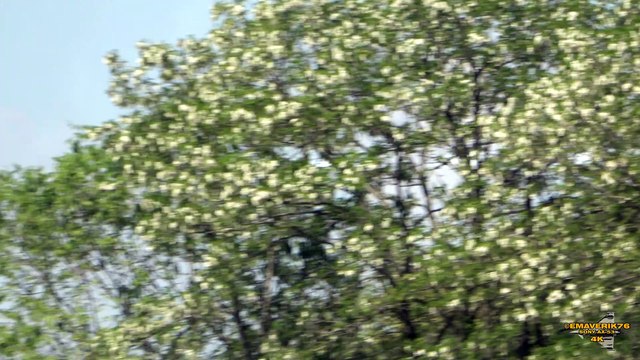 RIVOLTO 01-05-2019 - ESIBIZIONE FRECCE TRICOLORI - RIVOLTO (UD) - 4K