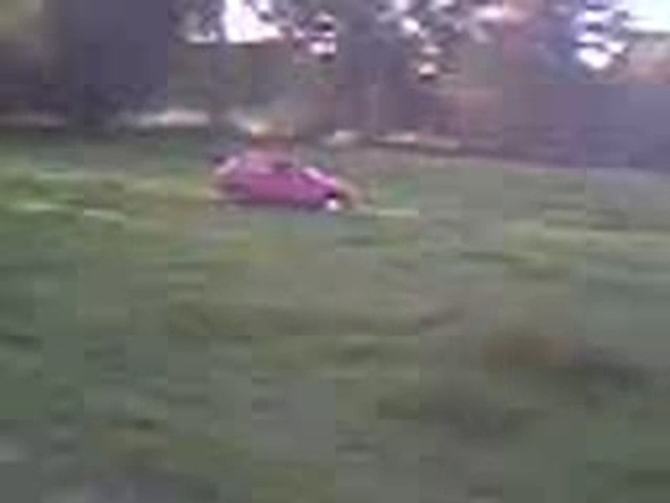 vielle video de la ford fiesta dans le champs