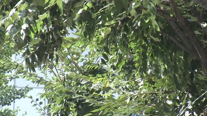 [날씨] 오늘 맑고 큰 일교차...남부 곳곳 빗방울 / YTN