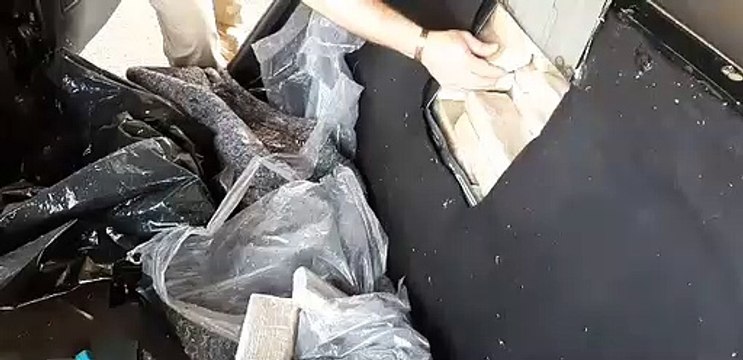 Casal é flagrado pela PRF com maconha em Cascavel