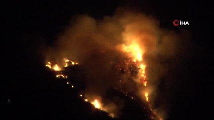 Bodrum'da Makilik alanda çıkan yangın korkuttu