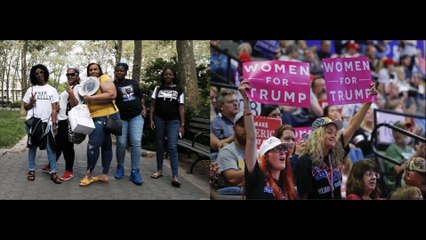 I Just Wanna Pee On Everything (Parody)