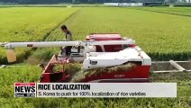 Life & Info: S. Korea to push for localization of rice varieties