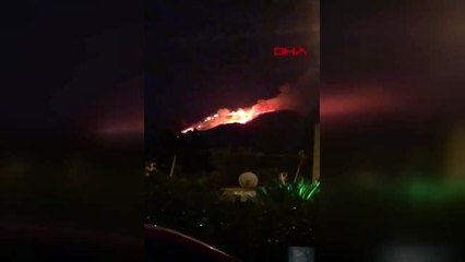 Muğla'nın bodrum ilçesinde makilik alanda yangın çıktı - 2