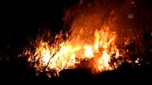 Bodrum'da makilik alanda yangın - MUĞLA