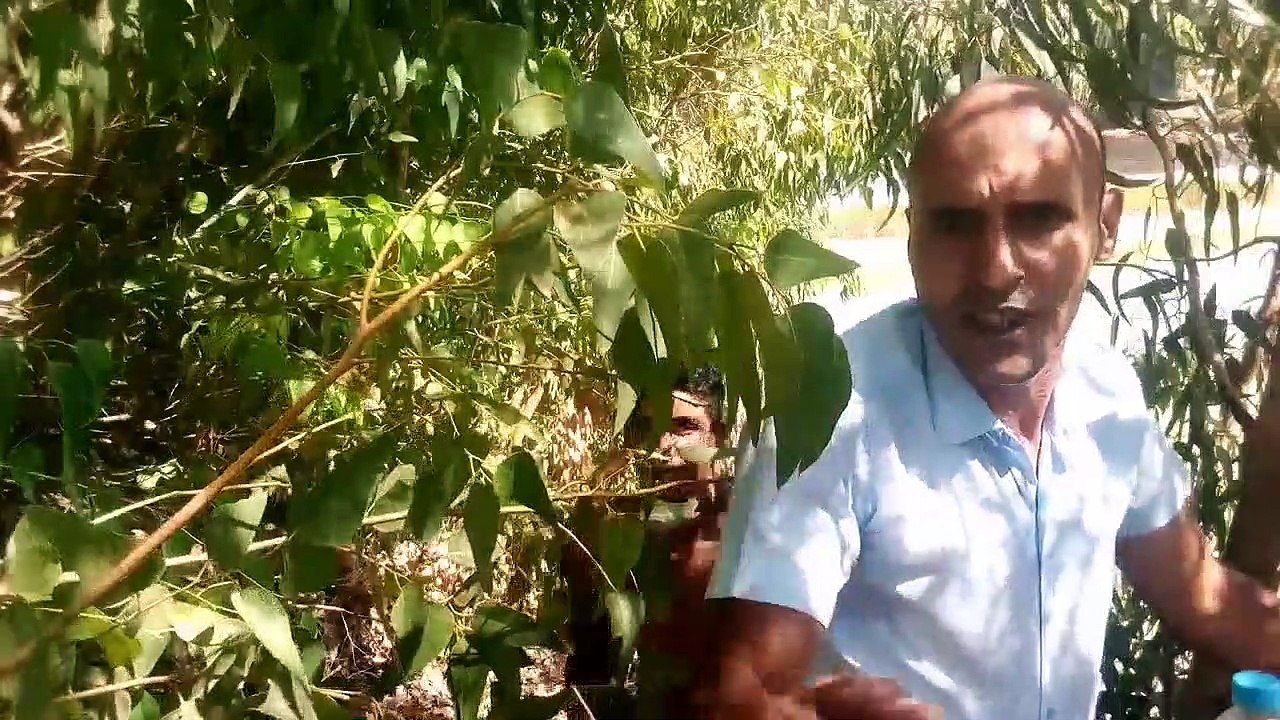 الطريق إلى بويا حنيني ، الكل يهون من أجل زيارة الحبيب