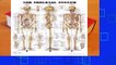 [MOST WISHED]  Anatomical Chart The Skeletal System by