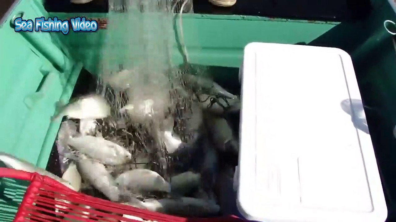 Most Satisfying Cast Net Fishing Video - Traditional Net Catch Fishing in The River