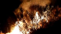 Bodrum'da makilik alanda yangın (2) - MUĞLA