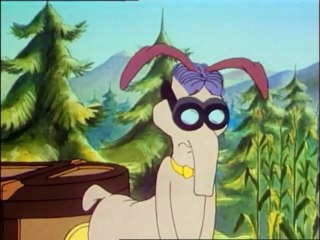 The Raccoons - The Runaways