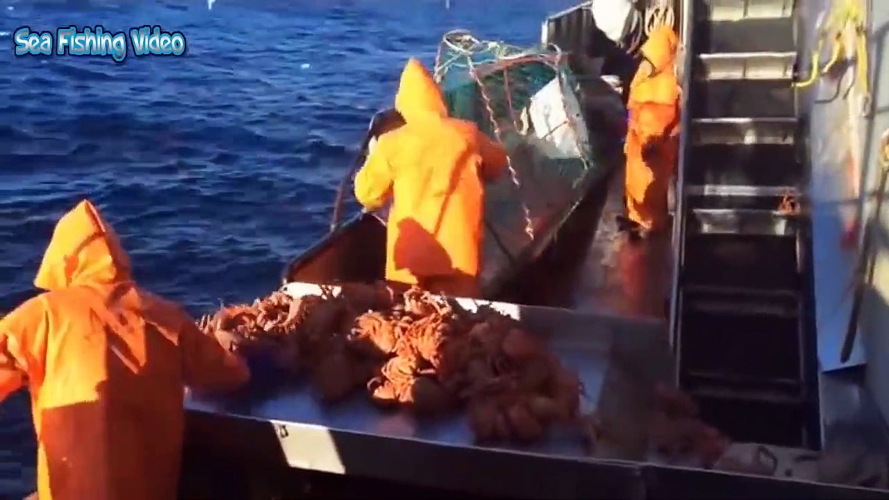 Awesome Big Alaska King Crab Fishing on The Sea - Fastest Catching & Processing King Crab