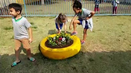 Semana da Árvore: ação é realizada em escola do Cataratas