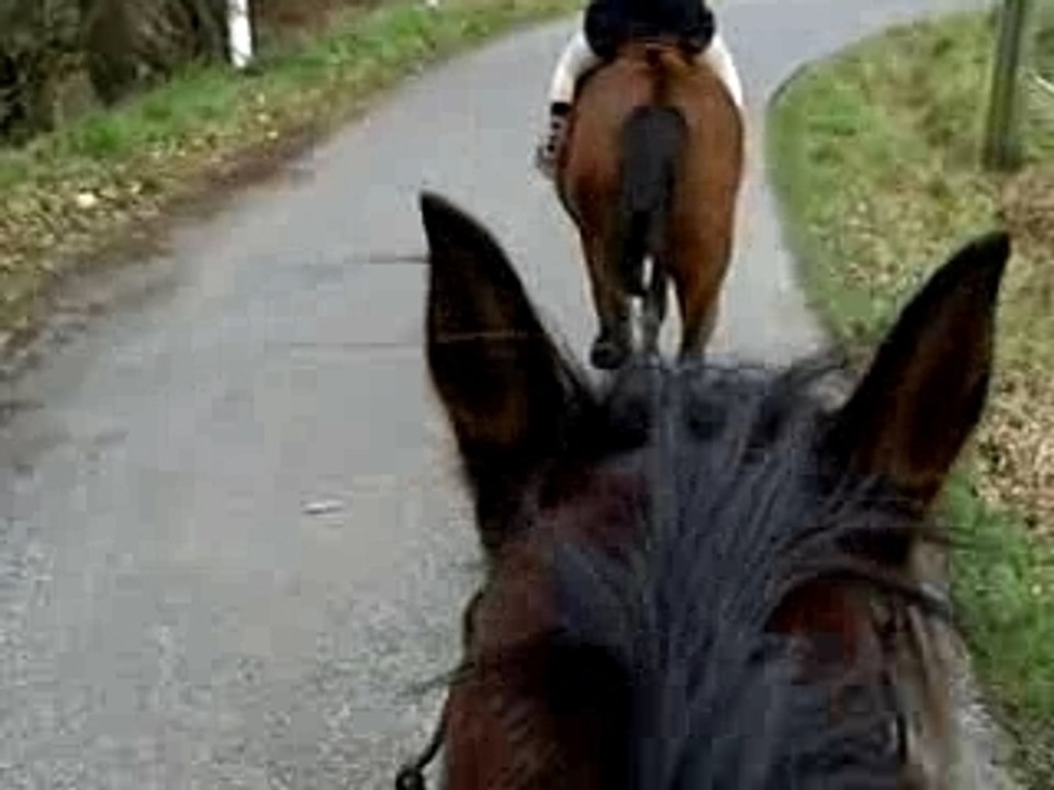 balade du 3 février 2008