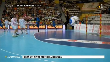 Jonathan Mapu : la pépite tahitienne du Hand-Ball