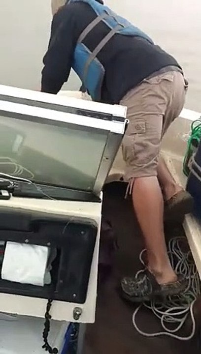 Ces pêcheurs sauvent un cerfs de la noyade !