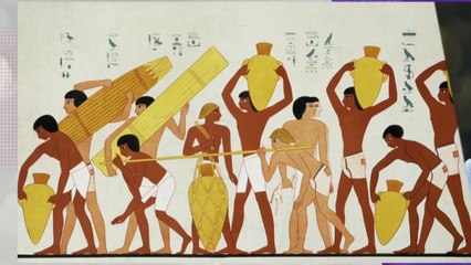 Histoire histoires - La vigne dans tous ses états