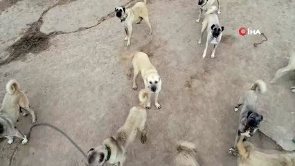Kangallar teröristlere geçit vermeyecek