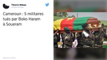 Cameroun. Six soldats tués par Boko Haram vendredi dans le nord
