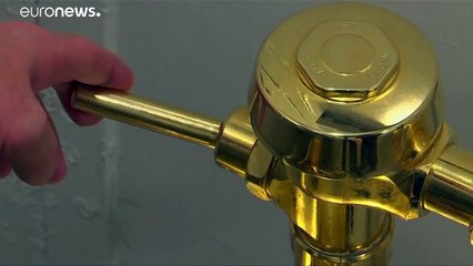 Les toilettes en or de Maurizion Cattelan ont été volées - VIDEO