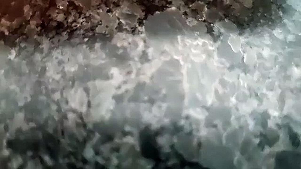 Testing video