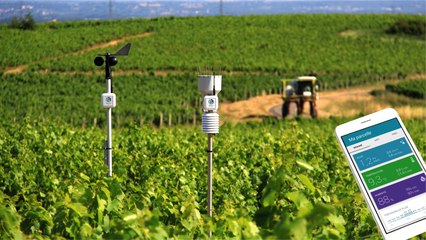 Des capteurs au champ pour lutter contre les aléas climatiques