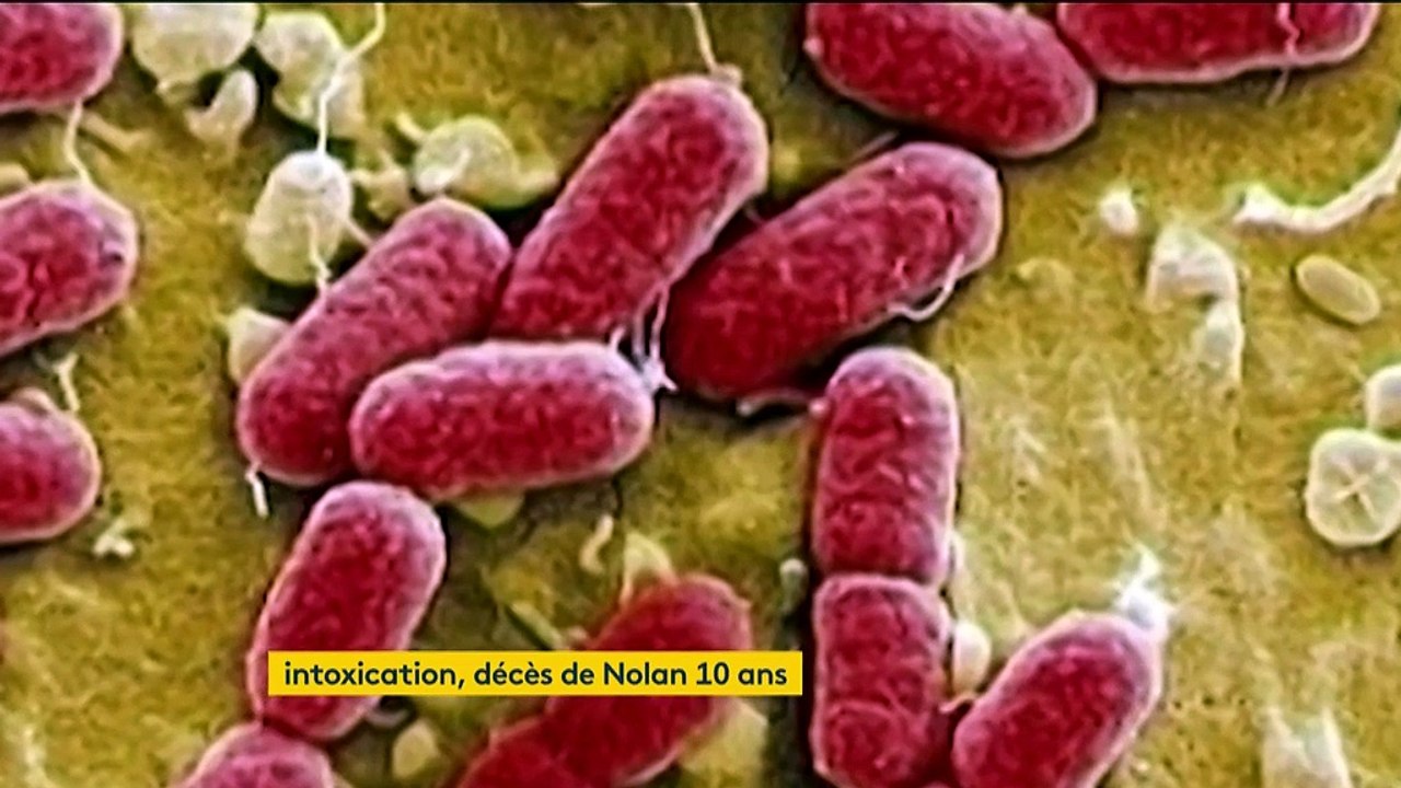Oise : intoxiqué par un steak à deux ans, Nolan s'est éteint à dix ans
