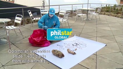 Hundreds of animals' parts used for witchcraft seized in Colombia