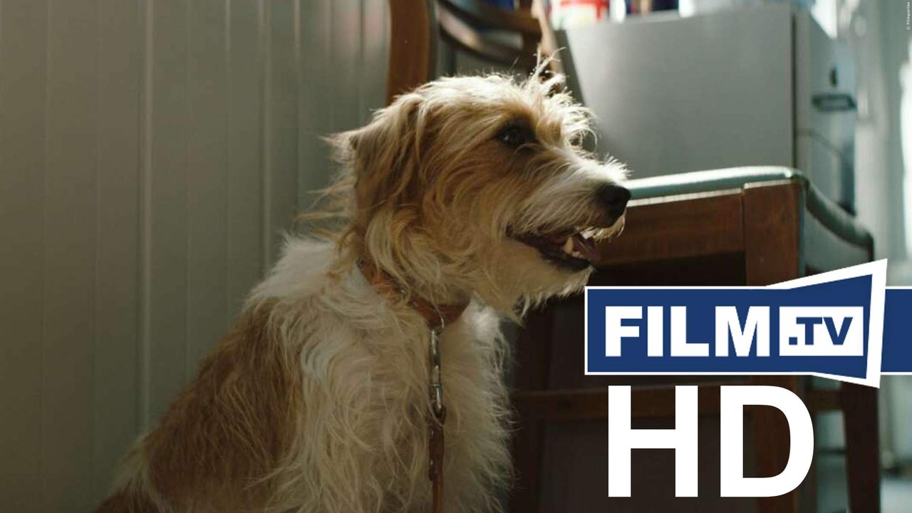 Smuggling Hendrix Trailer Deutsch German (2019)