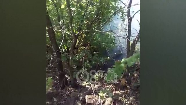 RTV Ora - Pyjet e Dibrës dhe Bulqizës në flakë, kërkohet ndërhyrje nga ajri