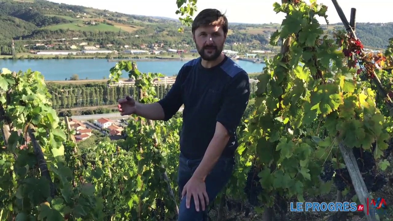 Côte-rotie : vers un grand cru