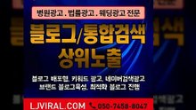파워링크관리〖LJVIRAL.com〗다음광고