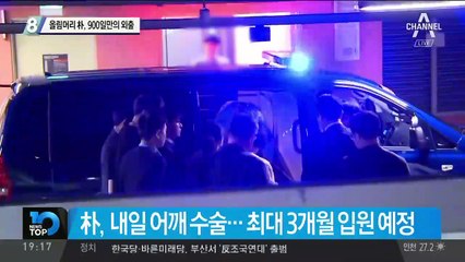 올림머리 박근혜, 900일만의 외출