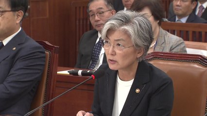 강경화, 김현종과 충돌 "부인하지 않겠다" / YTN