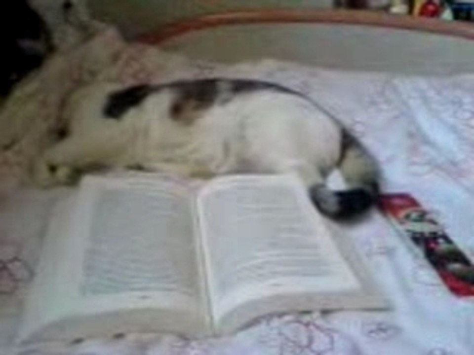 Lecture et ronflements