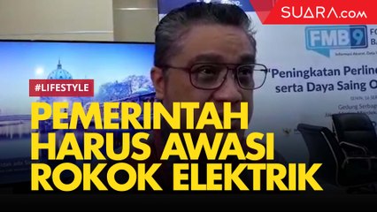 Dede Yusuf Tegaskan Pemerintah Harus Segera Awasi Rokok Elektrik